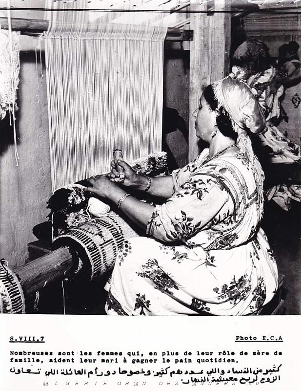 Algerie propagande 066.jpg